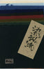 Assorted Chine-colle Kozo Package - Blues 12.50" by 6.25" 10 Sheets