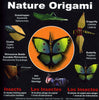 Nature Origami--Insects 6" 18 Sheets