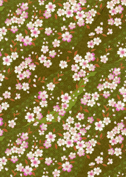 796-798C Yuzen Chiyogami-- Pink and white cherry blossoms on green background.