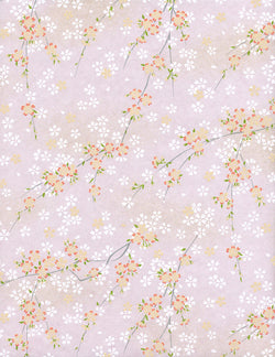 809C Yuzen Chiyogami--branches of white and pink cherry blossoms on pink background