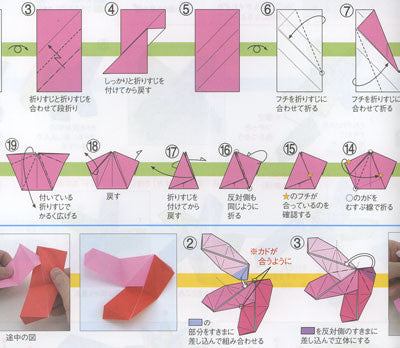 Origami for Beginners: Origami Kit for 100 Step by Step Projects